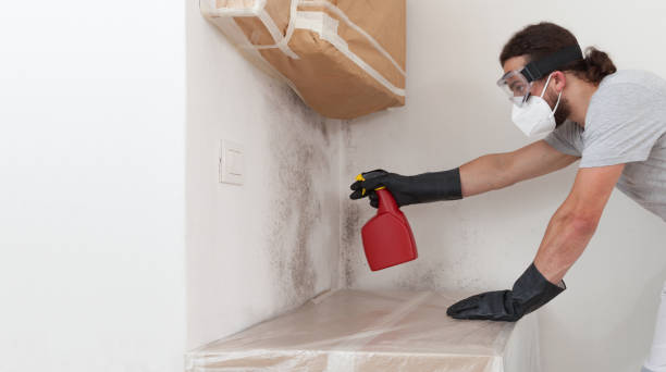 Professional Attic Mold Removal technician working in Parsippany, NJ