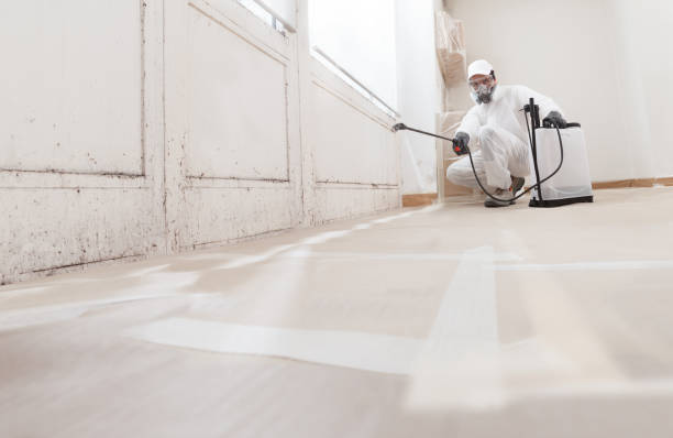 24/7 Emergency Attic Mold Removal experts in Parsippany, NJ
