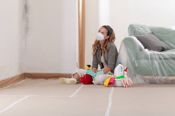 Reliable Mold Cleanup contractor in Parsippany, NJ by Cheap Mold Removal